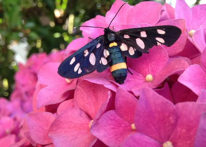 Torre Sangiovanni E Ristorante 3* Todi